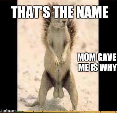 THAT'S THE NAME MOM GAVE ME IS WHY | made w/ Imgflip meme maker