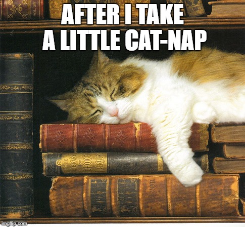 AFTER I TAKE A LITTLE CAT-NAP | made w/ Imgflip meme maker