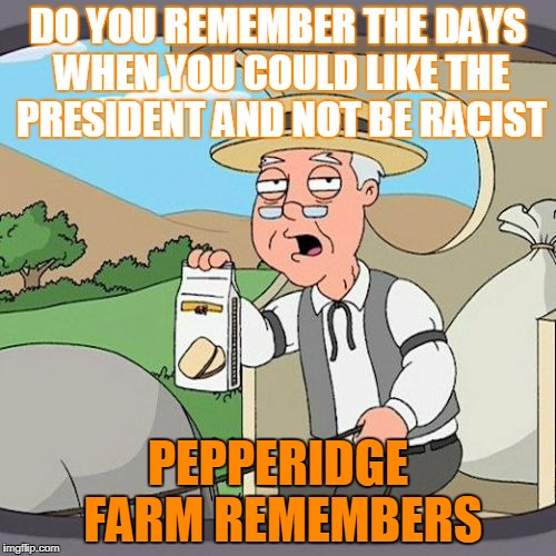 Pepperidge Farm Remembers | DO YOU REMEMBER THE DAYS WHEN YOU COULD LIKE THE PRESIDENT AND NOT BE RACIST; PEPPERIDGE FARM REMEMBERS | image tagged in memes,pepperidge farm remembers | made w/ Imgflip meme maker