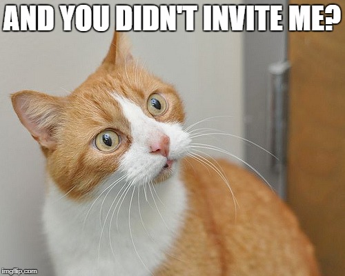 AND YOU DIDN'T INVITE ME? | made w/ Imgflip meme maker
