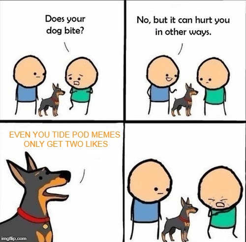 does your dog bite | EVEN YOU TIDE POD MEMES ONLY GET TWO LIKES | image tagged in does your dog bite | made w/ Imgflip meme maker