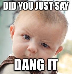 Skeptical Baby Meme | DID YOU JUST SAY; DANG IT | image tagged in memes,skeptical baby | made w/ Imgflip meme maker