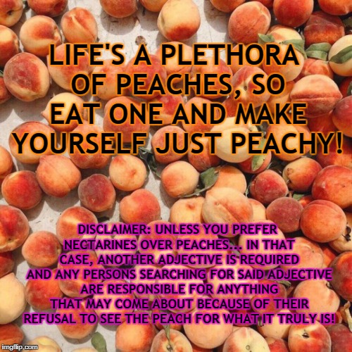 A Plethora of Peaches Makes Life Just Peachy! | LIFE'S A PLETHORA OF PEACHES, SO EAT ONE AND MAKE YOURSELF JUST PEACHY! DISCLAIMER: UNLESS YOU PREFER NECTARINES OVER PEACHES... IN THAT CASE, ANOTHER ADJECTIVE IS REQUIRED AND ANY PERSONS SEARCHING FOR SAID ADJECTIVE ARE RESPONSIBLE FOR ANYTHING THAT MAY COME ABOUT BECAUSE OF THEIR REFUSAL TO SEE THE PEACH FOR WHAT IT TRULY IS! | image tagged in a plethora of peaches makes life just peachy | made w/ Imgflip meme maker