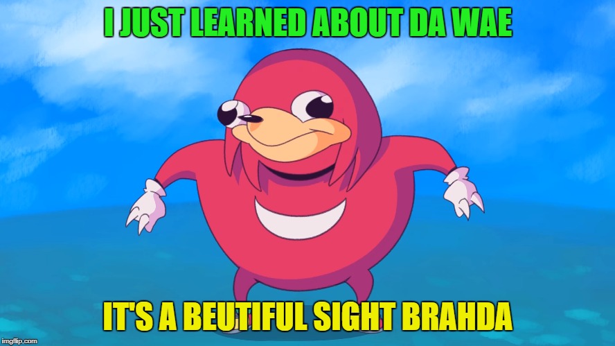 Do you know da wae? | I JUST LEARNED ABOUT DA WAE; IT'S A BEUTIFUL SIGHT BRAHDA | image tagged in funny,memes,do you know the way | made w/ Imgflip meme maker