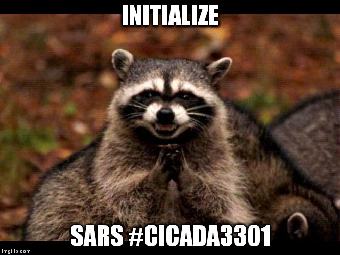 Evil Raccoon | INITIALIZE; SARS #CICADA3301 | image tagged in evil raccoon | made w/ Imgflip meme maker
