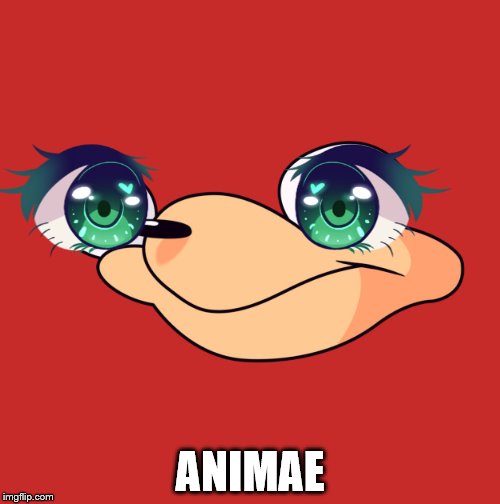 Do you know your Animae? You know your animae | ANIMAE | image tagged in ugandan knuckles,animeme,funny memes | made w/ Imgflip meme maker