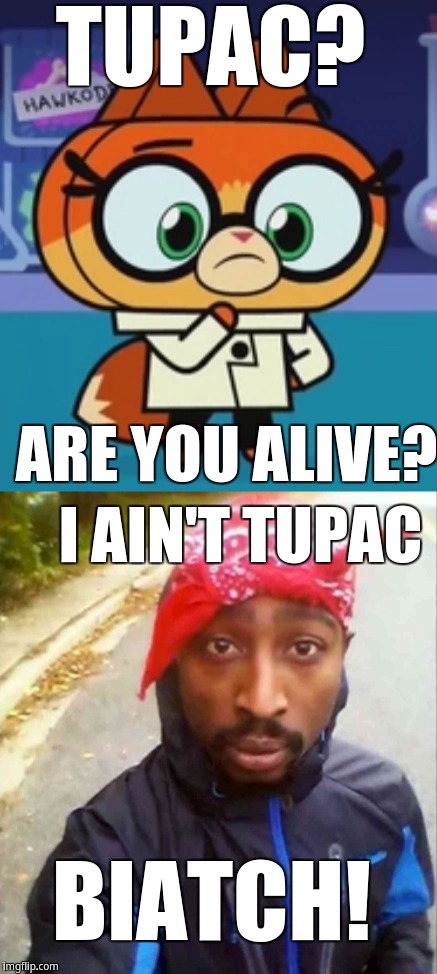Dr.Fox finds out that Tupac was alive | TUPAC? ARE YOU ALIVE? I AIN'T TUPAC; BIATCH! | image tagged in drfox,tupac | made w/ Imgflip meme maker