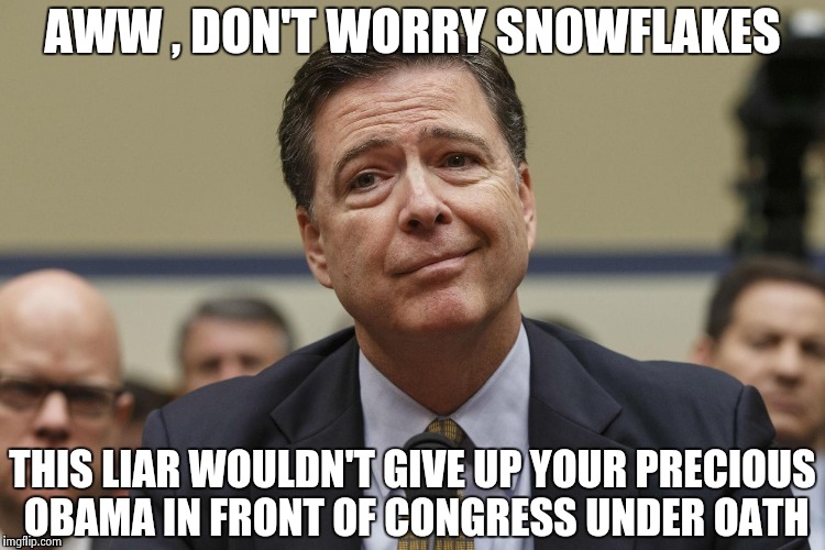 AWW , DON'T WORRY SNOWFLAKES THIS LIAR WOULDN'T GIVE UP YOUR PRECIOUS OBAMA IN FRONT OF CONGRESS UNDER OATH | image tagged in phoney comey | made w/ Imgflip meme maker