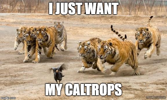 TIGERS CHASING | I JUST WANT; MY CALTROPS | image tagged in tigers chasing | made w/ Imgflip meme maker