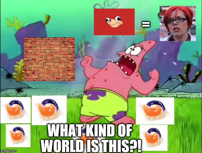 What kind of meme is this?! | =; WHAT KIND OF WORLD IS THIS?! | image tagged in spongebob,tide pods,femenist,donald trump,ugandan knuckles | made w/ Imgflip meme maker