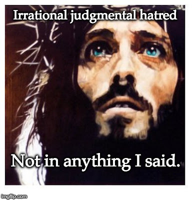 Blue-eyed Jesus | Irrational judgmental hatred; Not in anything I said. | image tagged in blue-eyed jesus | made w/ Imgflip meme maker