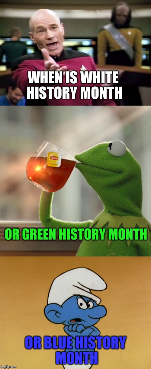 WHEN IS WHITE HISTORY MONTH OR BLUE HISTORY MONTH OR GREEN HISTORY MONTH | made w/ Imgflip meme maker