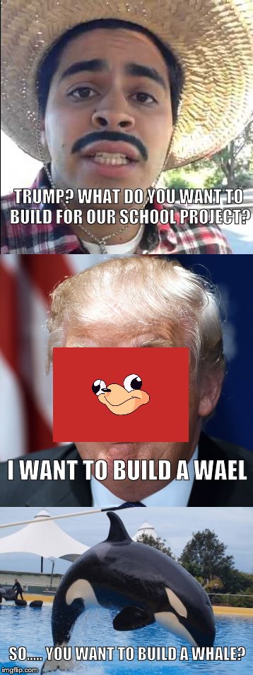 Do you want to build wall or ride a bike around the hall? | I; TRUMP? WHAT DO YOU WANT TO BUILD FOR OUR SCHOOL PROJECT? I WANT TO BUILD A WAEL; SO..... YOU WANT TO BUILD A WHALE? | image tagged in ugandan knuckles,donald trump,mexico | made w/ Imgflip meme maker
