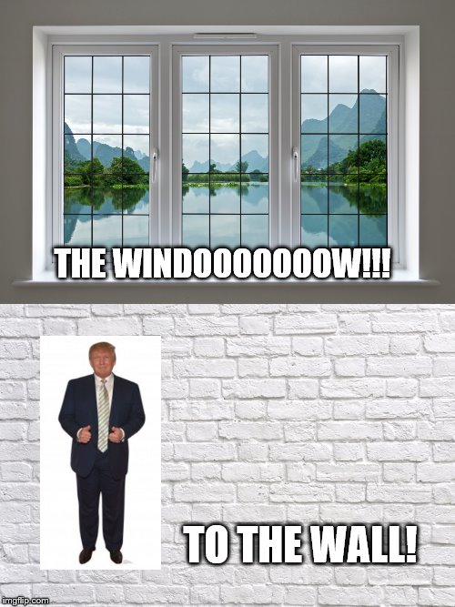 Lil' Meme | THE WINDOOOOOOOW!!! TO THE WALL! | image tagged in donald trump,trump wall | made w/ Imgflip meme maker