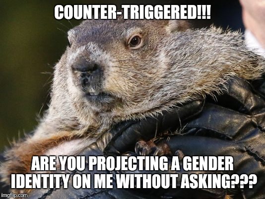 COUNTER-TRIGGERED!!! ARE YOU PROJECTING A GENDER IDENTITY ON ME WITHOUT ASKING??? | made w/ Imgflip meme maker