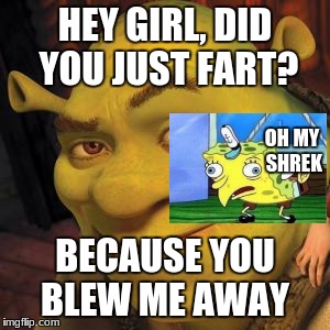 Shrek Sexy Face | HEY GIRL, DID YOU JUST FART? OH MY SHREK; BECAUSE YOU BLEW ME AWAY | image tagged in shrek sexy face | made w/ Imgflip meme maker