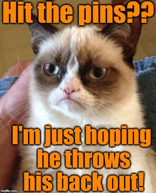 Grumpy Cat Meme | Hit the pins?? I'm just hoping he throws his back out! | image tagged in memes,grumpy cat | made w/ Imgflip meme maker