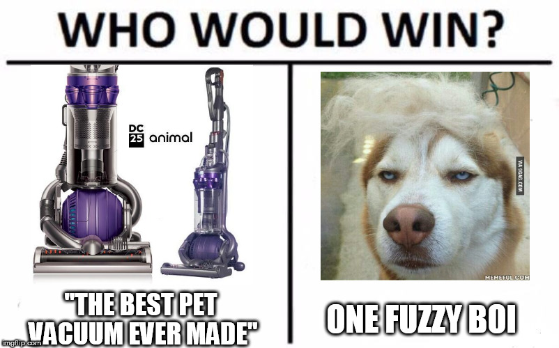Who Would Win? Meme | "THE BEST PET VACUUM EVER MADE"; ONE FUZZY BOI | image tagged in memes,who would win | made w/ Imgflip meme maker
