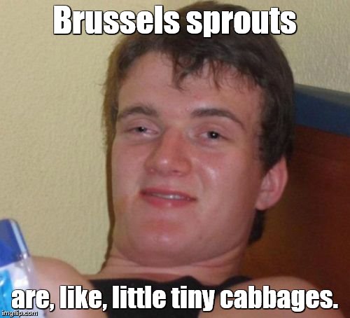 10 Guy Meme | Brussels sprouts are, like, little tiny cabbages. | image tagged in memes,10 guy | made w/ Imgflip meme maker