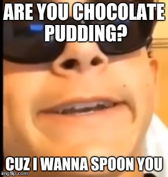ARE YOU CHOCOLATE PUDDING? CUZ I WANNA SPOON YOU | image tagged in meme | made w/ Imgflip meme maker