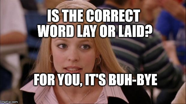 Its Not Going To Happen | IS THE CORRECT WORD LAY OR LAID? FOR YOU, IT'S BUH-BYE | image tagged in memes,its not going to happen | made w/ Imgflip meme maker