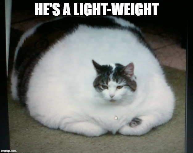 HE'S A LIGHT-WEIGHT | made w/ Imgflip meme maker
