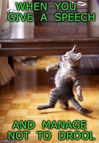 Cool Cat Stroll Meme | WHEN  YOU   GIVE  A  SPEECH; AND  MANAGE NOT  TO  DROOL | image tagged in memes,cool cat stroll | made w/ Imgflip meme maker