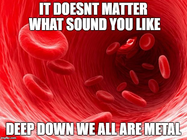 blood cells | IT DOESNT MATTER WHAT SOUND YOU LIKE; DEEP DOWN WE ALL ARE METAL | image tagged in blood cells,metal,ssby,funny,memes | made w/ Imgflip meme maker
