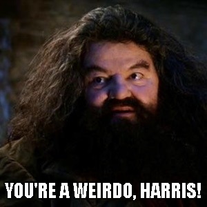 You're A Weirdo, Harris! | YOU'RE A WEIRDO, HARRIS! | image tagged in hagrid,weirdo,wizard,harry potter | made w/ Imgflip meme maker