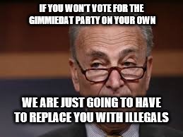 IF YOU WON'T VOTE FOR THE GIMMIEDAT PARTY ON YOUR OWN; WE ARE JUST GOING TO HAVE TO REPLACE YOU WITH ILLEGALS | image tagged in 2020 elections | made w/ Imgflip meme maker