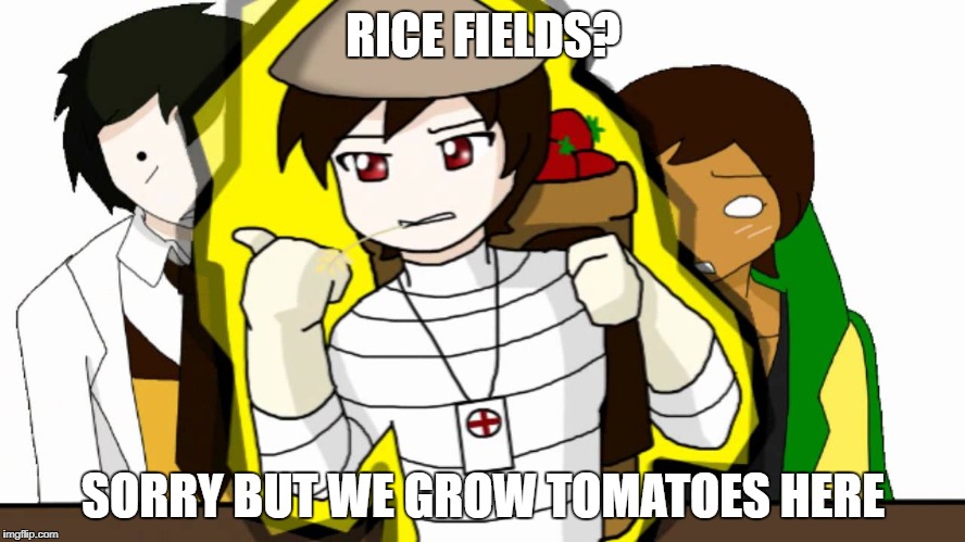 Sorry no rice fields here | RICE FIELDS? SORRY BUT WE GROW TOMATOES HERE | image tagged in welcome to the tomato fields,tomato,rice feilds | made w/ Imgflip meme maker