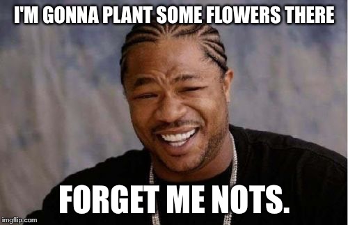 Yo Dawg Heard You Meme | I'M GONNA PLANT SOME FLOWERS THERE FORGET ME NOTS. | image tagged in memes,yo dawg heard you | made w/ Imgflip meme maker