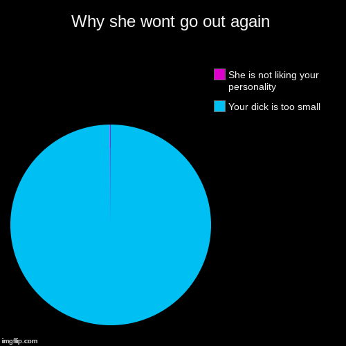 Why she wont go out again | Your dick is too small, She is not liking your personality | image tagged in funny,pie charts | made w/ Imgflip chart maker