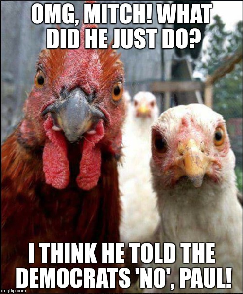 OMG, he didn't? | OMG, MITCH! WHAT DID HE JUST DO? I THINK HE TOLD THE DEMOCRATS 'NO', PAUL! | image tagged in chickens,shocked,politics,trump | made w/ Imgflip meme maker