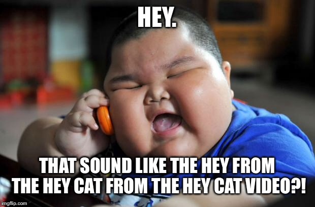 Hey Cat Kid | HEY. THAT SOUND LIKE THE HEY FROM THE HEY CAT FROM THE HEY CAT VIDEO?! | image tagged in fat chinese kid,hey cat | made w/ Imgflip meme maker
