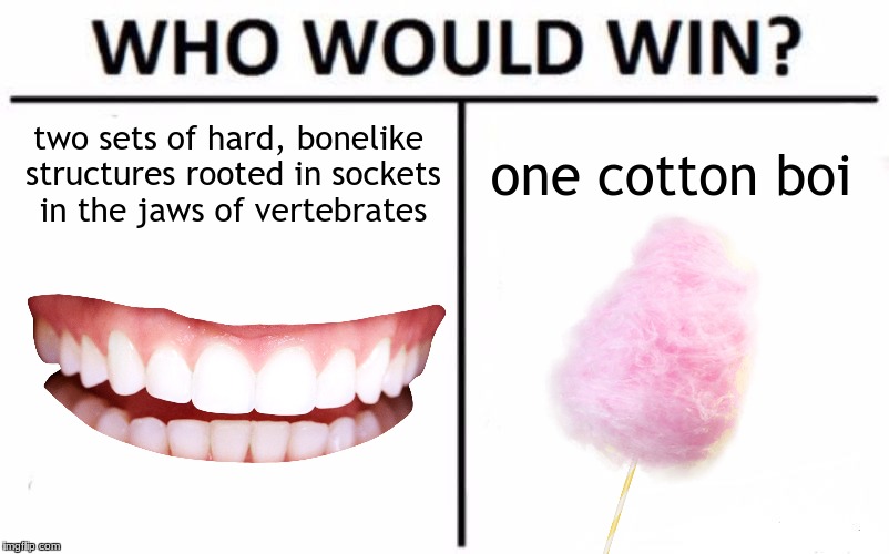 two sets of hard, bonelike structures rooted in sockets in the jaws of vertebrates; one cotton boi | image tagged in memes,who would win | made w/ Imgflip meme maker