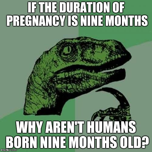 Philosoraptor | IF THE DURATION OF PREGNANCY IS NINE MONTHS; WHY AREN'T HUMANS BORN NINE MONTHS OLD? | image tagged in memes,philosoraptor | made w/ Imgflip meme maker