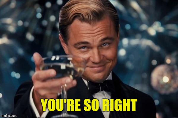 Leonardo Dicaprio Cheers Meme | YOU'RE SO RIGHT | image tagged in memes,leonardo dicaprio cheers | made w/ Imgflip meme maker