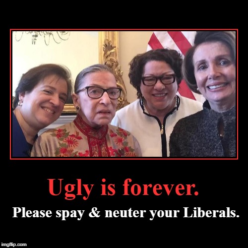 Ugly is forever. Please spay & neuter your Liberals | image tagged in ugly,liberals,liberal hags,pelosi,bader-ginsburg | made w/ Imgflip demotivational maker