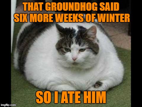 that groundhog said six more weeks of winter so i ate him | THAT GROUNDHOG SAID SIX MORE WEEKS OF WINTER; SO I ATE HIM | image tagged in groundhog | made w/ Imgflip meme maker
