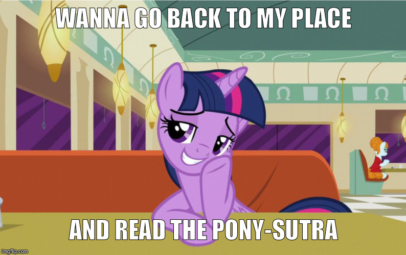 WANNA GO BACK TO MY PLACE; AND READ THE PONY-SUTRA | image tagged in mlp meme,twilight,funny,pony | made w/ Imgflip meme maker