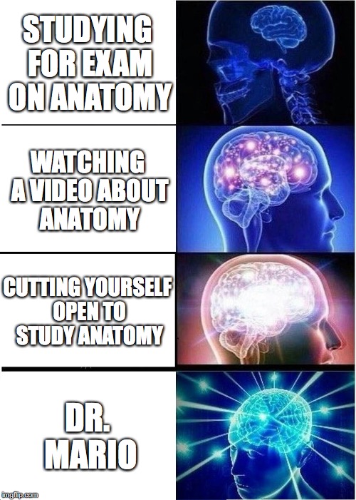 Expanding Brain | STUDYING FOR EXAM ON ANATOMY; WATCHING A VIDEO ABOUT ANATOMY; CUTTING YOURSELF OPEN TO STUDY ANATOMY; DR. MARIO | image tagged in memes,expanding brain | made w/ Imgflip meme maker