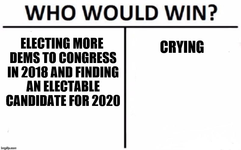 Who Would Win? Meme | ELECTING MORE DEMS TO CONGRESS IN 2018 AND FINDING AN ELECTABLE CANDIDATE FOR 2020 CRYING | image tagged in memes,who would win | made w/ Imgflip meme maker