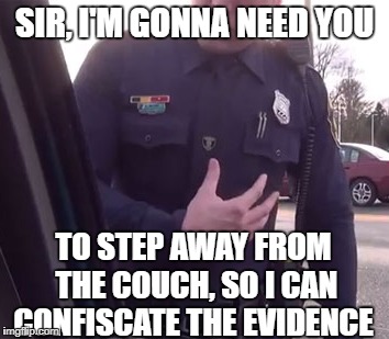 SIR, I'M GONNA NEED YOU TO STEP AWAY FROM THE COUCH, SO I CAN CONFISCATE THE EVIDENCE | made w/ Imgflip meme maker