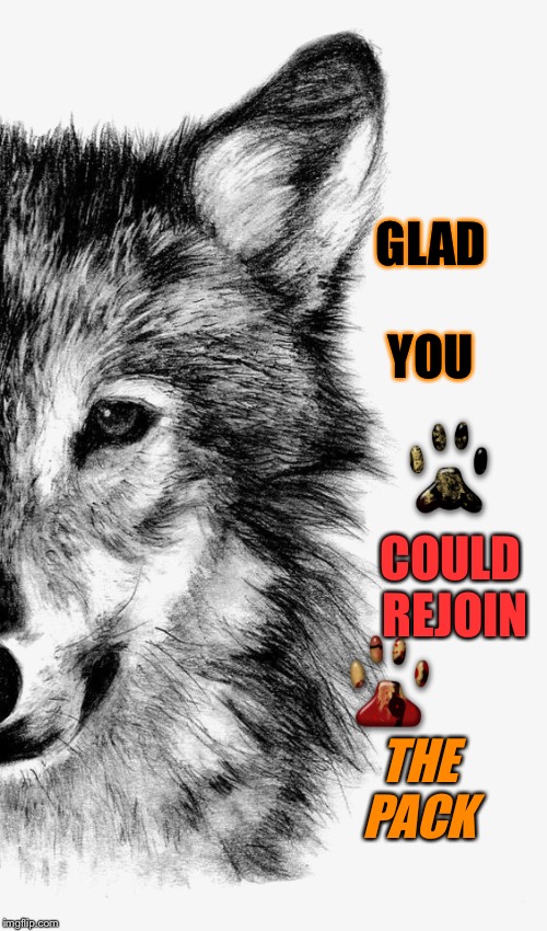 GLAD YOU THE PACK COULD REJOIN | made w/ Imgflip meme maker
