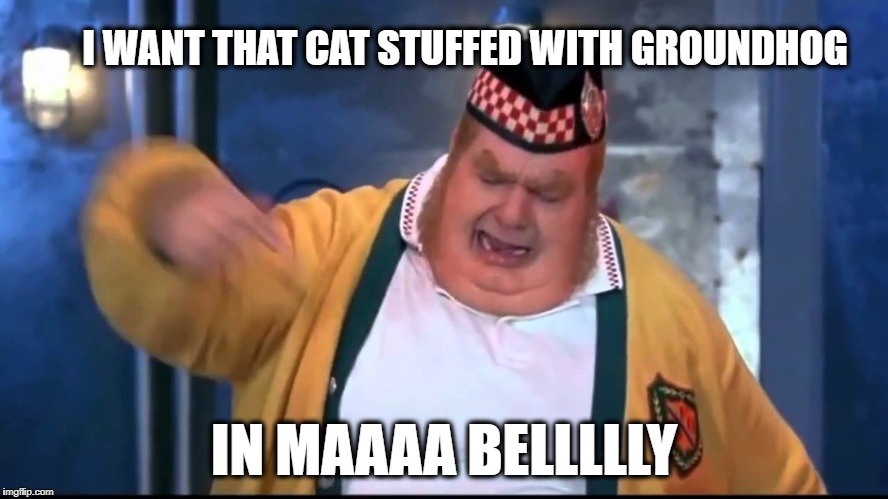 Belly | I WANT THAT CAT STUFFED WITH GROUNDHOG IN MAAAA BELLLLLY | image tagged in belly | made w/ Imgflip meme maker