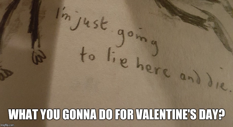 Here is my plan... | WHAT YOU GONNA DO FOR VALENTINE'S DAY? | image tagged in memes,new template | made w/ Imgflip meme maker