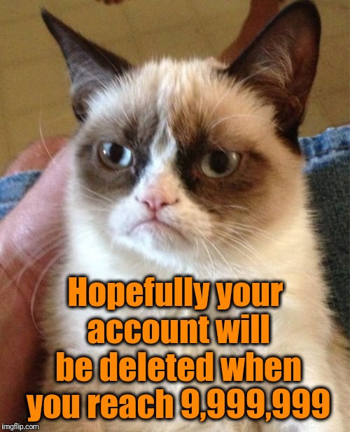 Grumpy Cat Meme | Hopefully your account will be deleted when you reach 9,999,999 | image tagged in memes,grumpy cat | made w/ Imgflip meme maker