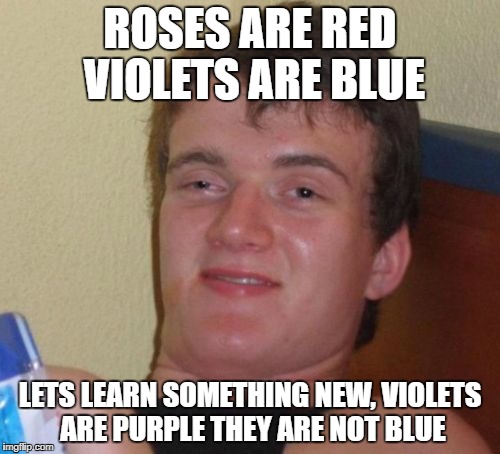 10 Guy Meme | ROSES ARE RED VIOLETS ARE BLUE; LETS LEARN SOMETHING NEW, VIOLETS ARE PURPLE THEY ARE NOT BLUE | image tagged in memes,10 guy | made w/ Imgflip meme maker
