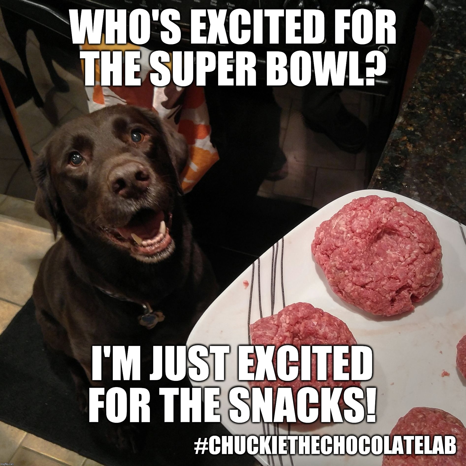 Who's excited for the Super Bowl?  | WHO'S EXCITED FOR THE SUPER BOWL? I'M JUST EXCITED FOR THE SNACKS! #CHUCKIETHECHOCOLATELAB | image tagged in chuckie the chocolate lab,super bowl,football,memes,snacks,dogs | made w/ Imgflip meme maker